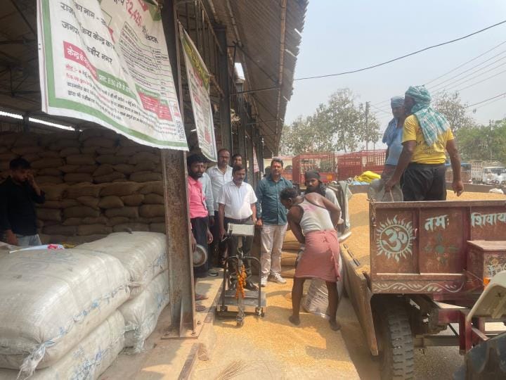 Bought 22 metric tons of wheat by visiting the homes of 17 farmers
