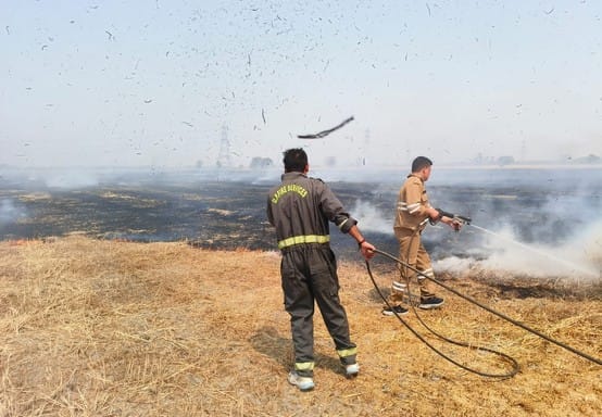 Fire broke out at 74 places in 13 days...crops suffered the most damage