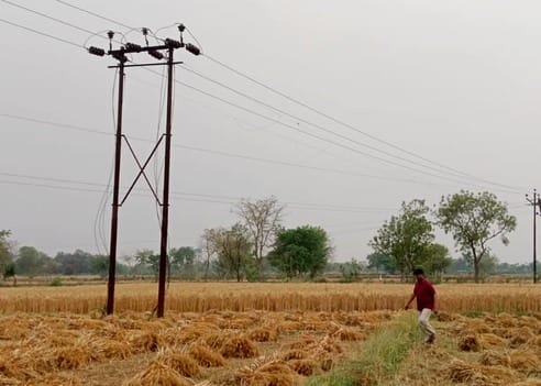 Guidelines issued: First harvest the crops near the pillars