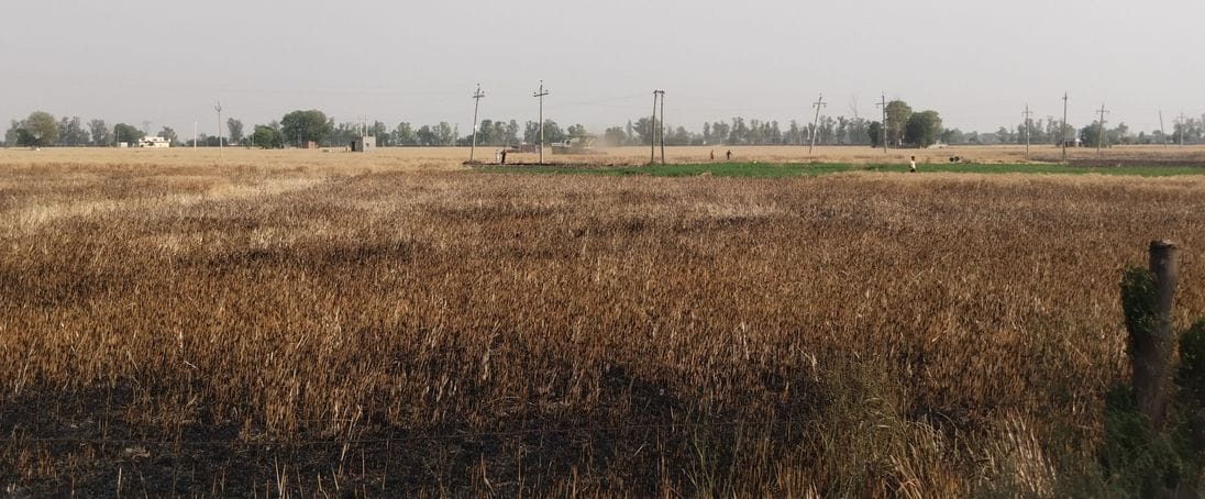 A fire that broke out under suspicious circumstances burnt the hopes of farmers