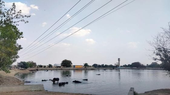 High voltage power lines passing over the cattle pond, fear of accident