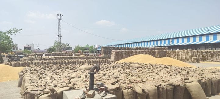 31.60 lakh quintals of wheat arrived in the grain markets of the district, 16.60 lakh quintals were sold