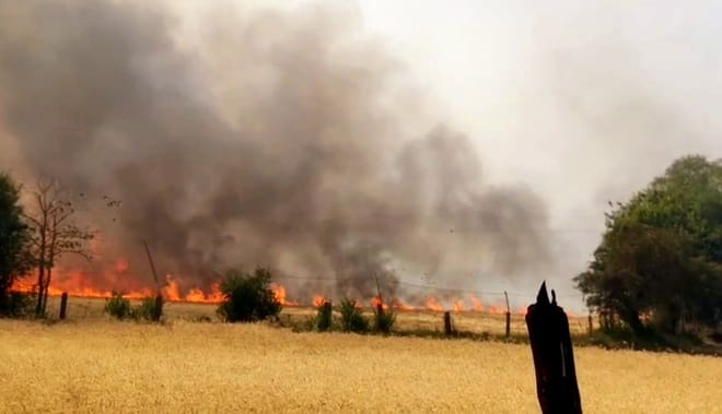 FIRs have been filed in different police stations of the district against those who burn stubble
