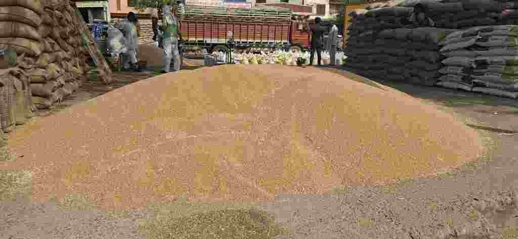 Wheat procurement in full swing at Asoda procurement centre, offtake very slow