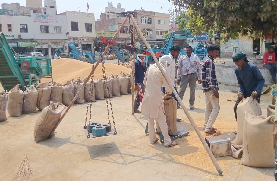 The district's mandis are clogged due to slow lifting of wheat