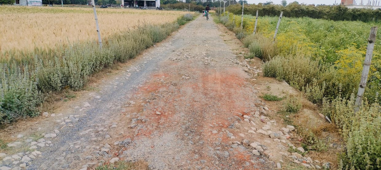 Gagargarh-Bhotha road is dilapidated, pedestrians are facing problems