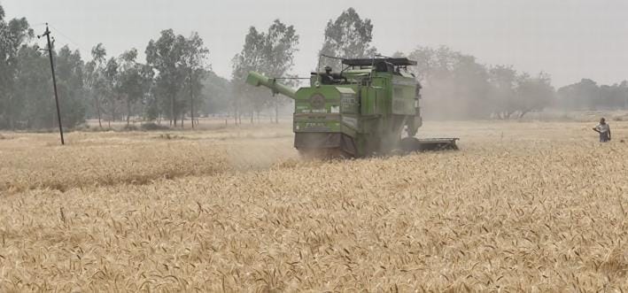 Wheat harvesting begins when weather clears