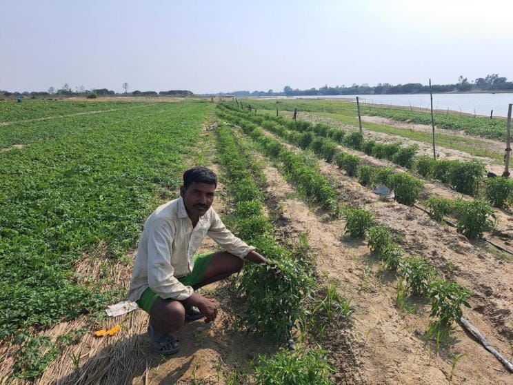 Fruit and vegetable farmers also suffered heavy losses due to storm, rain and hail