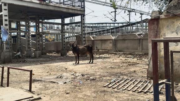 Cleanliness improved after the inspection of the General Manager at the junction