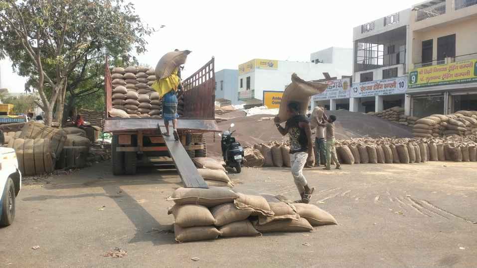 Mustard was purchased in Matanhel Mandi and wheat in other mandis
