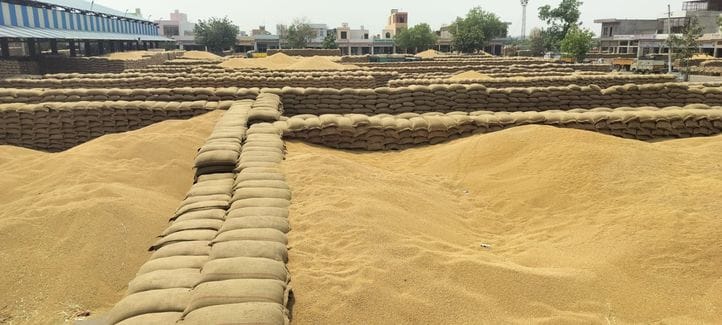 38 thousand MT wheat reached the grain markets of the district, 23.5 thousand MT was purchased