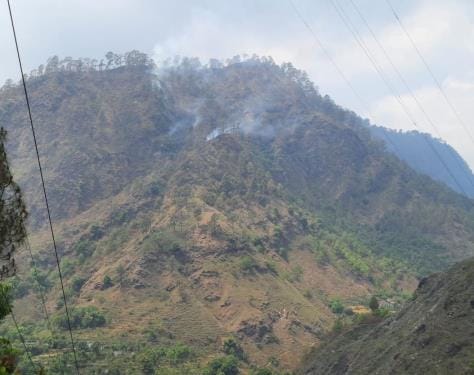 Neighbors are trying to extinguish the forest fire, while family members are making false claims