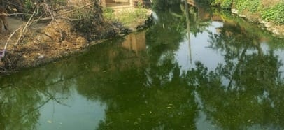 Work on beautification of 17 ponds in the district has started, Rs 3.92 crore will be spent