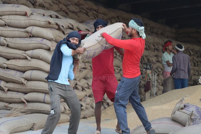 Due to slow lifting, wheat reached the roads of the market