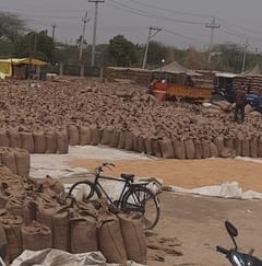 Bumper purchase of wheat in Asoda, fewer farmers coming to Bahadurgarh