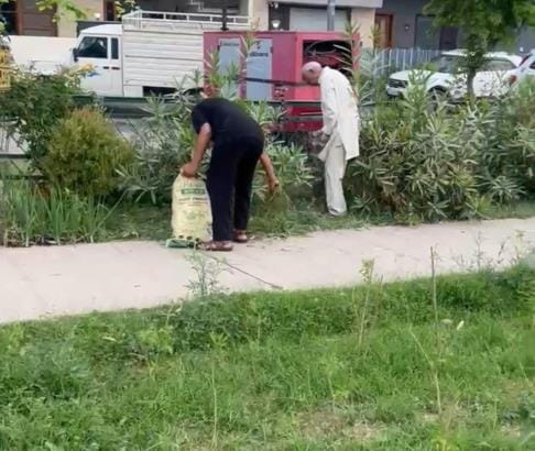 Aerocity's parks are filled with garbage, residents are cleaning them themselves