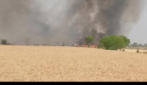 20 acres of standing wheat crop burnt to ashes in fire in village Data