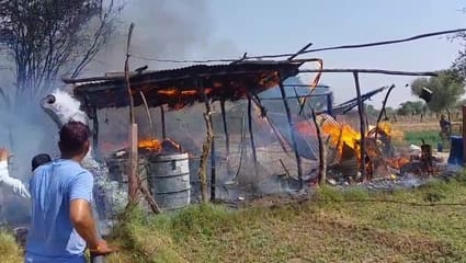 Rajasthan Fire wreaked havoc in Pisangan Ajmer eight cattle burnt alive loss worth lakhs