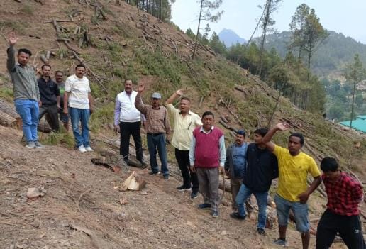 We nurtured the forest like children and created it, but you started destroying it