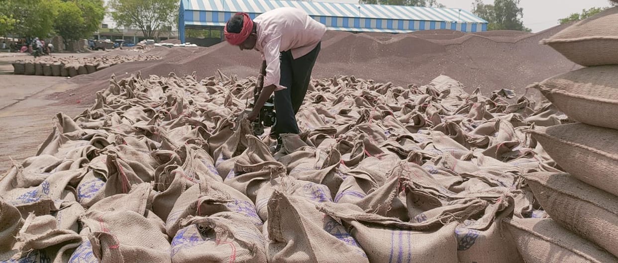 Officials should buy the produce as per the prescribed standards and also expedite the lifting