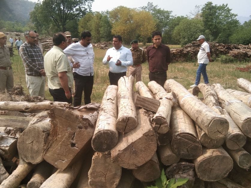 Central team reached Bahri village to investigate dumped wood
