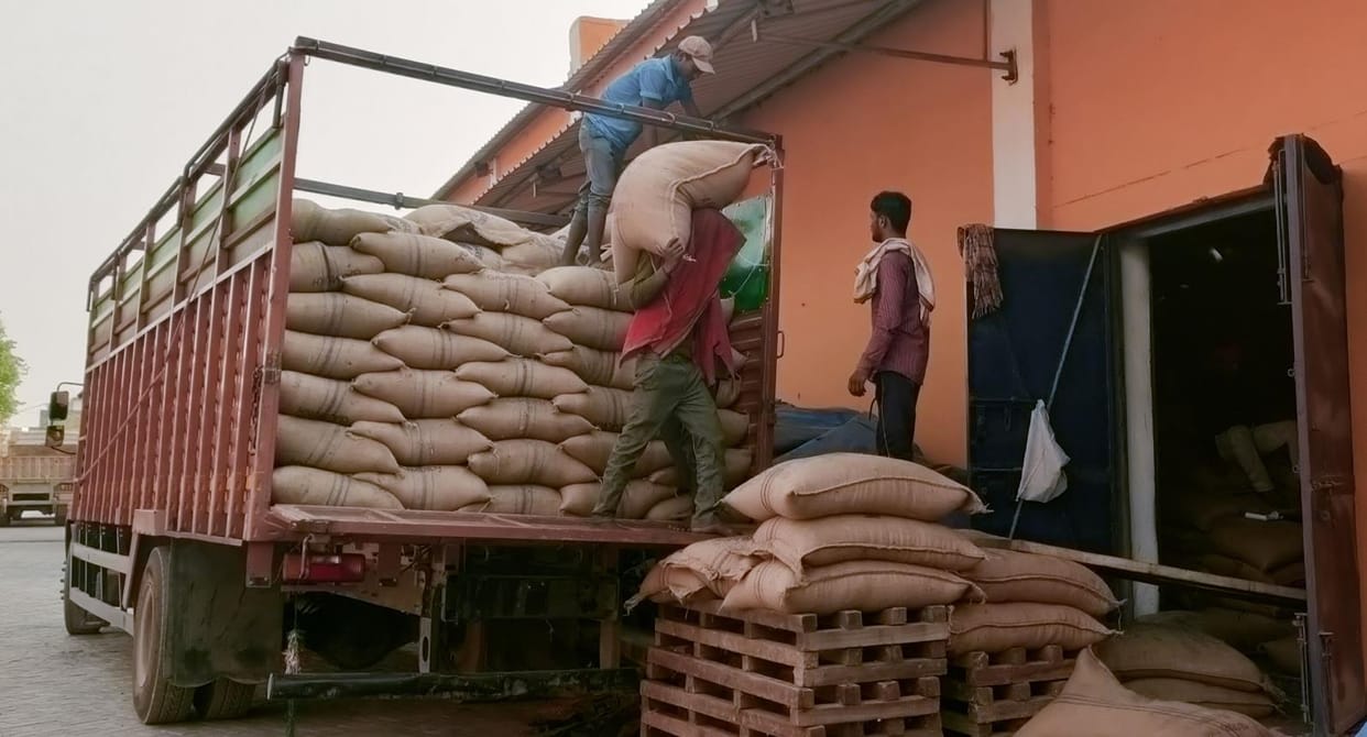 NAFED inspection team rejected 3,300 bags of mustard that arrived at the warehouse