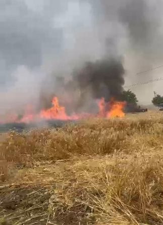 Six acres of wheat and eight acres of grass were burnt due to sparking in electric wires
