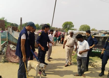 Police conducted a special search operation in Jatusana, interrogated the suspects