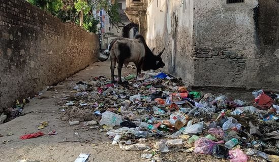 Action will be taken against those who throw garbage on the road