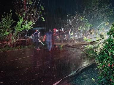 Storm and rain wreak havoc, power supply disrupted in many areas