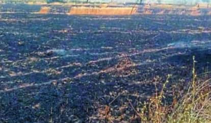 Agar Malwa News: The collector has identified the farmers who burn stubble, action will be taken