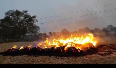 The burnt bird fell, five bighas of wheat burnt