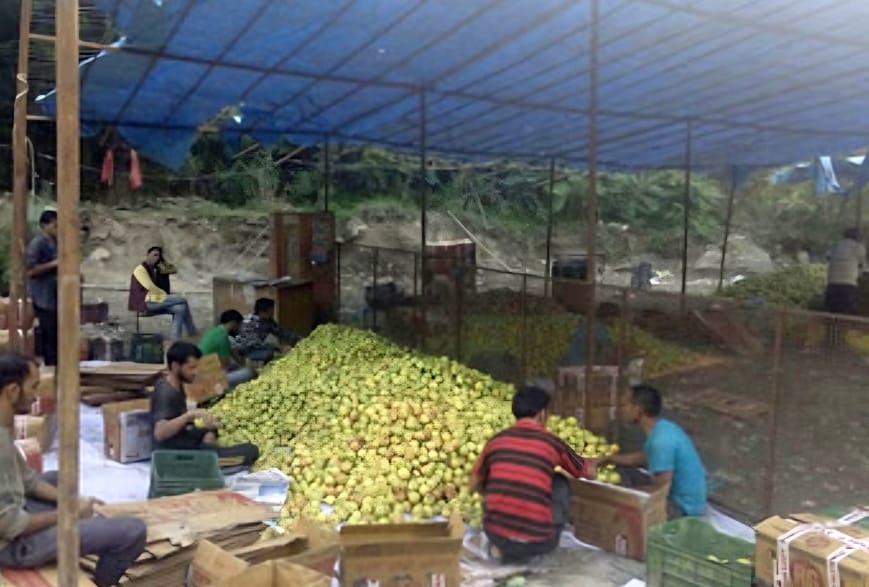 Damothi vegetable market's picture will be improved with two crore rupees