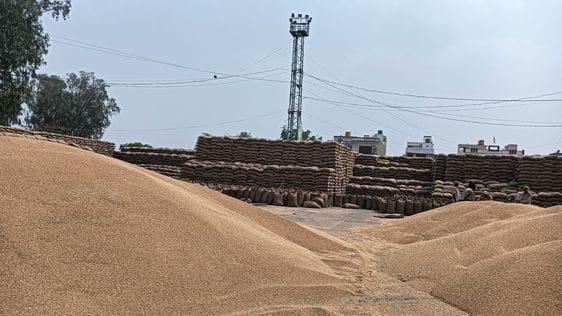 Officials will go door-to-door to farmers to buy wheat