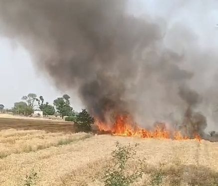 Spark from high tension line, wheat crop burnt in three and a half acres