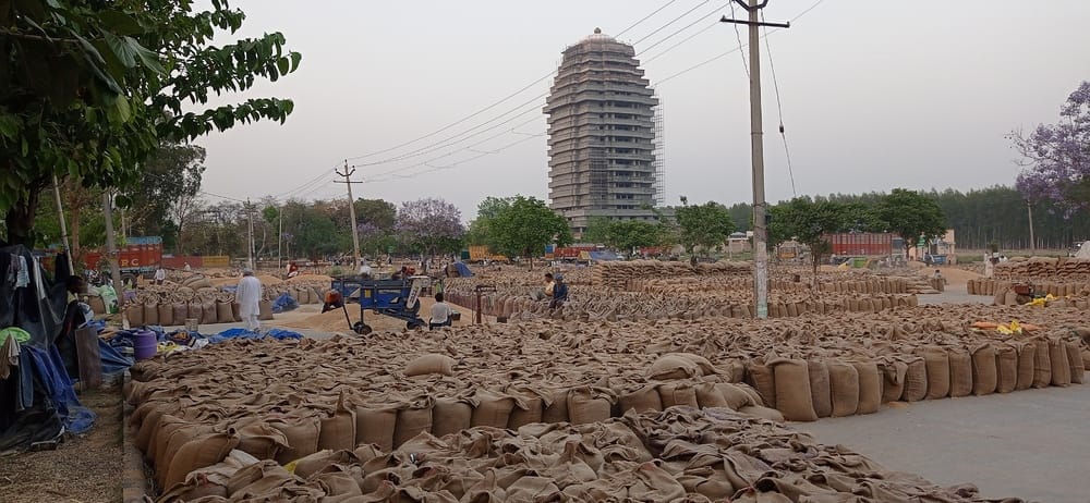 If the lifting work is not expedited then the situation will worsen