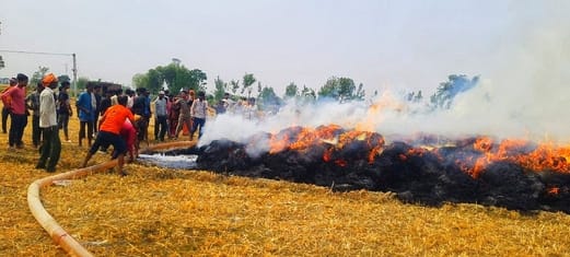 Five bighas of wheat crop burnt to ashes due to fire