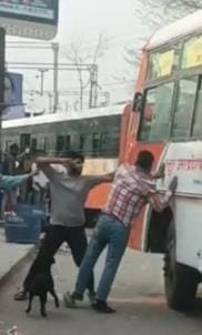 There was a fight at the bus stand, 14 slaps were given in 15 seconds