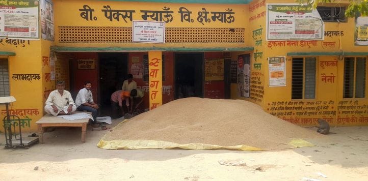Mobile purchasing centers are not reaching villages, middlemen dominate