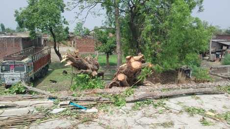 Strong sunshine tormented, possibility of rain
