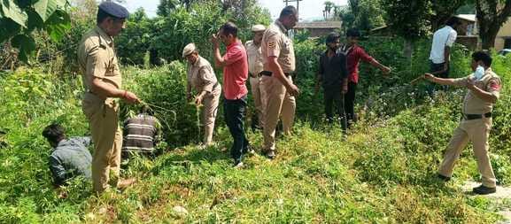 Sujanpur police launched campaign to eradicate drug addiction and uproot cannabis
