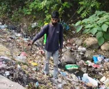 Sujanpur started pesticide spraying work in the city