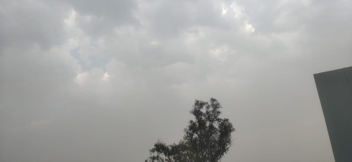 The heat tormented the whole day, but the strong wind in the evening brought relief