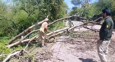 jammu kashmir news