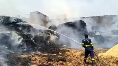 Stubble burning cases exceed 4500 in Punjab AQMC issues notices to DC and SSP of eight districts