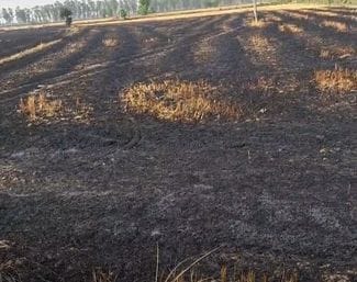 20 acres of wheat fields burnt in Rohtak