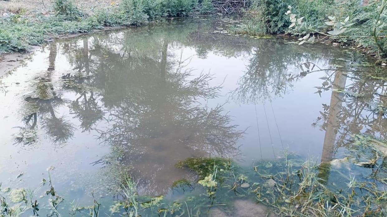 Water supply line leakage, contaminated water reaching homes