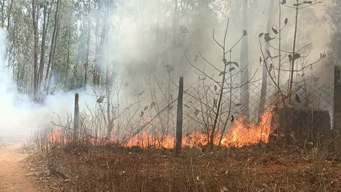 Jammu Kashmir: Incidents of fire increased rapidly in the forests of Bandipora, forest wealth worth crores of