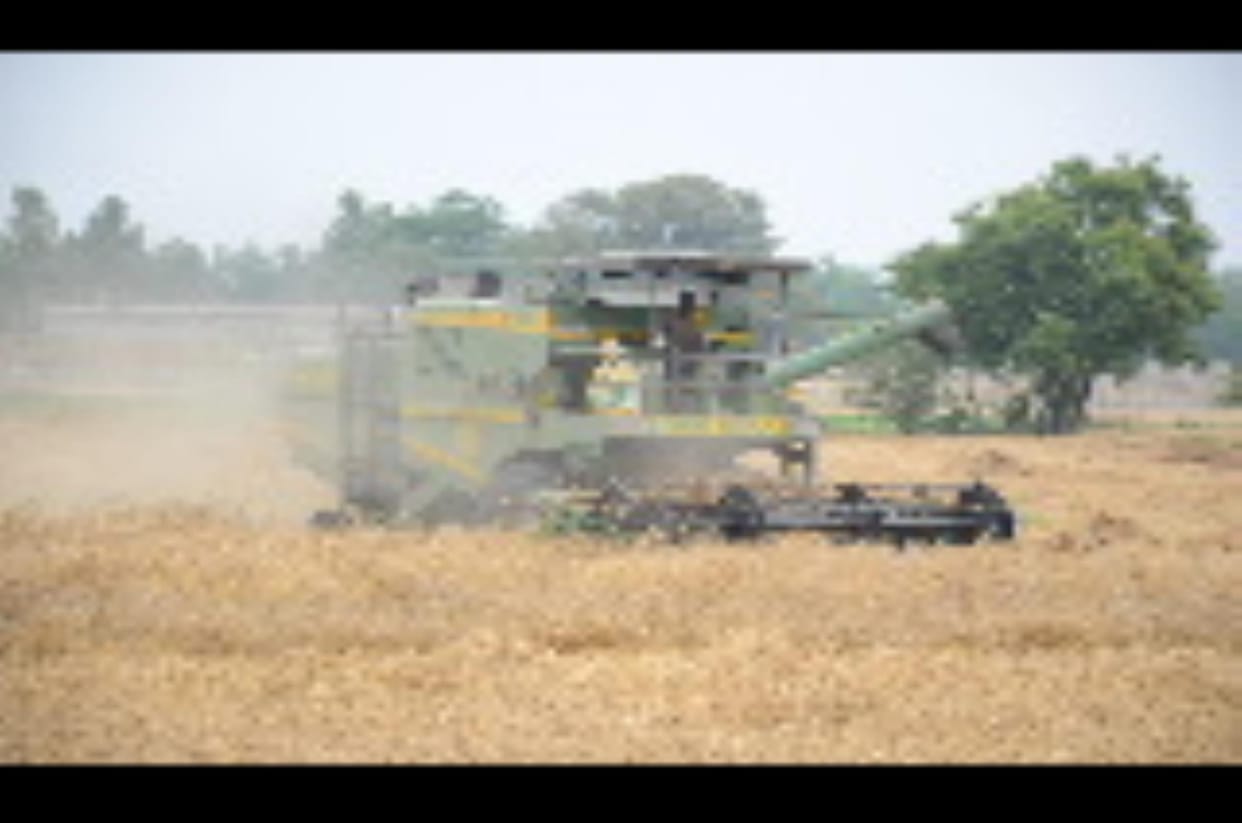 Wheat harvesting started with combine in the district