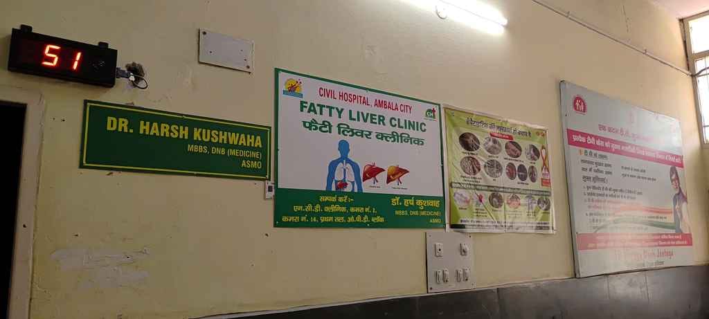 Fatty liver patients on the rise, resources for treatment inadequate
